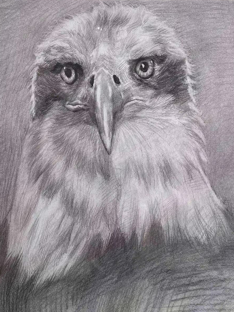       作品