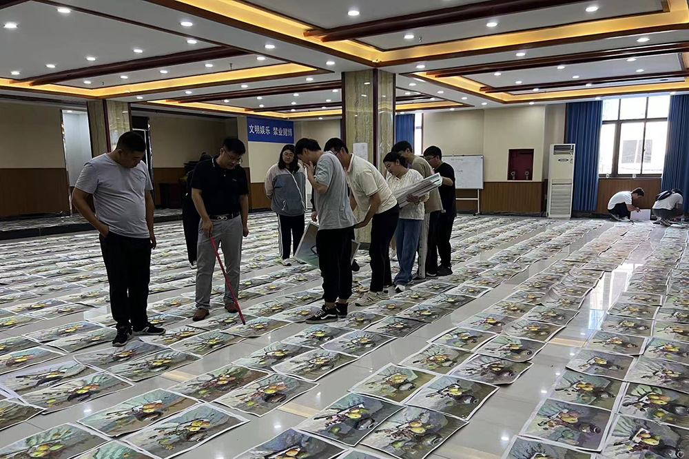 百校联考改卷现场